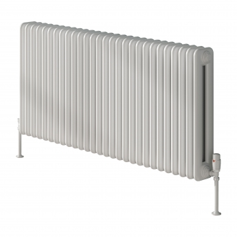 Reina Hedingham White Horizontal Traditional 2-Column Radiator