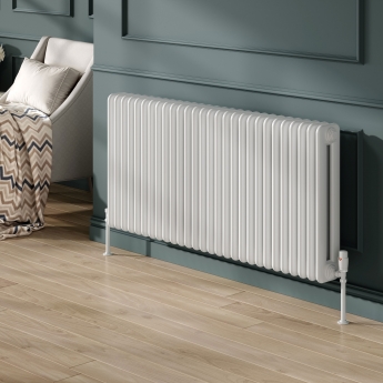Reina Hedingham White Horizontal Traditional 2-Column Radiator