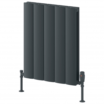 Reina Loco Horizontal Aluminium Designer Radiator
