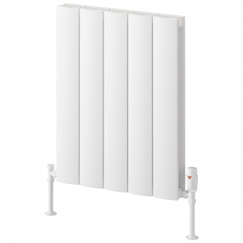Reina Loco Horizontal Aluminium Designer Radiator