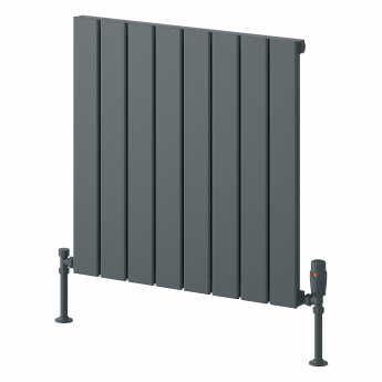 Reina Piatto Single Horizontal Aluminium Radiator 600mm H x 595mm W - Anthracite | Product Image