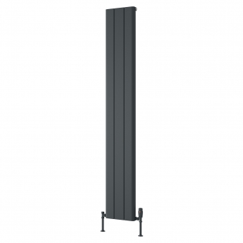 Reina Resia Vertical Aluminium Radiator 1800mm H x 280mm W - Anthracite | Product Image
