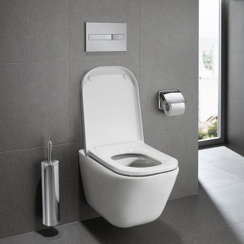 Roca the gap toilet review