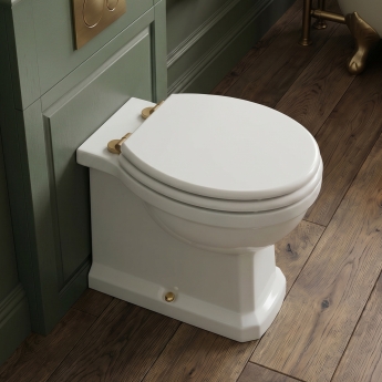Signature Aphrodite Back to Wall Toilet with Brushed Brass Fittings (inc White Wood Effect Seat) | Product Image