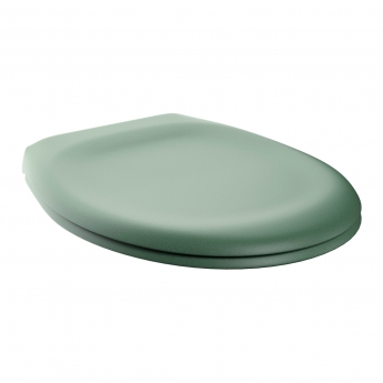 Signature Aphrodite Back To Wall Toilet - Sage Green Soft Close Seat