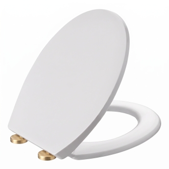 Signature Aphrodite Traditional Back to Wall Toilet with Brushed Brass Fittings (inc Soft Close Seat) | Product Image