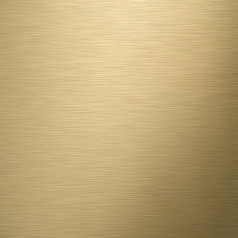 Tiger Tune Toilet Brush and Holder Freestanding - Brushed Brass/Black