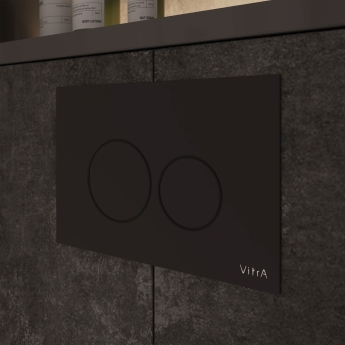 Vitra Root Round Dual Flush Plate | Product Image