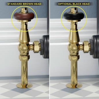 West Faringdon Angled Thermostatic Radiator Valve and Lockshield - Brass | Product Image