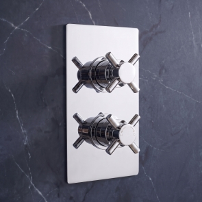 Delphi Axiom Crosshead Chrome 1-Outlet Dual Concealed Shower Valve | Product Image
