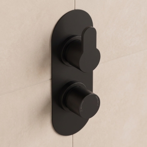 Delphi Loop Matt Black 1-Outlet Dual Concealed Shower Valve | Product Image