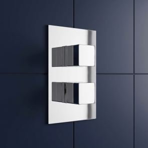 Delphi Nexus Chrome 1-Outlet Dual Concealed Shower Valve | Product Image