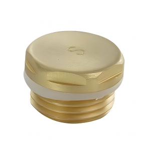 JTP Blanking Plug Single - Brushed Brass