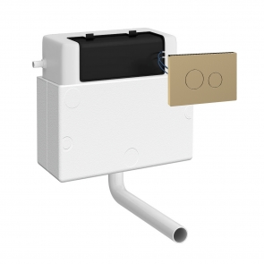 Nuie Universal Access Pneumatic Dual Flush Toilet Concealed Cistern with Brushed Brass Rectangular Flush Plate | Product Image