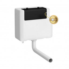 Nuie Universal Access Concealed Toilet Cistern with Traditional Brushed Brass Flush Plate | Product Image