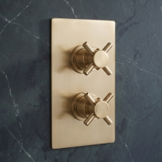 Delphi Axiom Crosshead Brushed Brass 1-Outlet Dual Concealed Shower Valve