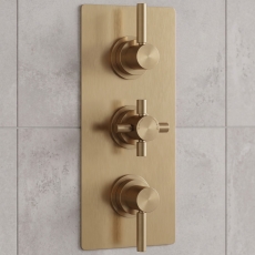 Delphi Axiom Lever Brushed Brass 2-Outlet Triple Concealed Shower Valve