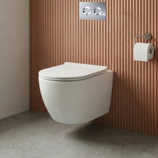 Delphi Capri Rimless Wall Hung Toilet (inc Soft Close Slim Seat)