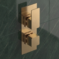 Delphi Edge Brushed Brass 1-Outlet Dual Concealed Shower Valve