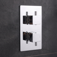 Delphi Nectar Chrome 2-Outlet Dual Concealed Shower Valve