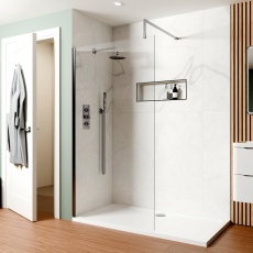 Delphi Optics Brushed Pewter Wet Room Shower Screen