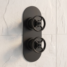 Delphi Turbine Matt Black 1-Outlet Dual Concealed Shower Valve