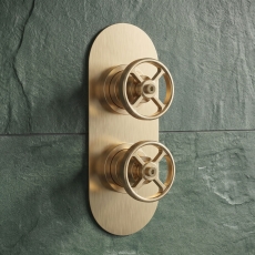 Delphi Turbine Brushed Brass 2-Outlet Dual Concealed Shower Valve