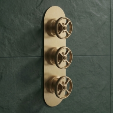 Delphi Turbine Brushed Brass 2-Outlet Triple Concealed Shower Valve