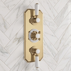 Delphi Windsor Brushed Brass 2-Outlet Triple Concealed Shower Valve