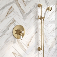 Delphi Windsor Brushed Brass Dual Concentric Concealed Shower Set with Slide Rail Kit