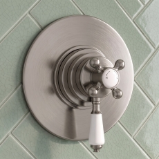 Delphi Windsor Brushed Pewter 1-Outlet Concentric Concealed Shower Valve