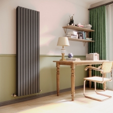 Delphi Accent Anthracite Vertical Designer Radiator