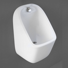 RAK Series 600 Wall Hung Urinal 310mm Wide - Alpine White