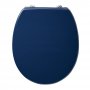 Armitage Shanks Contour 21 Toilet Seat with Cover for 355mm High Pan - Blue