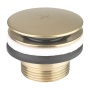 Britton Universal Press Top Basin Waste Brushed Brass