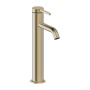 Britton Hoxton 2.0 Brushed Brass Tall Mono Basin Mixer Tap
