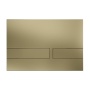 Britton Venue Dual Flush Plate Brushed Brass