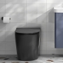 Delphi Angel Rimless Back to Wall Toilet Black - Soft Close Deluxe Seat