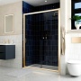 Delphi Apollo Brushed Brass 8mm Sliding Shower Door (1900mm High)