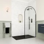 Delphi Astoria Matt Black Wet Room Shower Screen