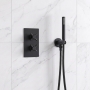 Delphi Axiom Crosshead Matt Black Dual Concealed Shower Set with Handset and Bracket