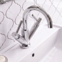 Delphi Axiom Dual Lever Chrome Swivel Spout Mono Basin Mixer Tap (inc Press Top Waste)