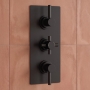 Delphi Axiom Lever Matt Black 2-Outlet Triple Concealed Shower Valve