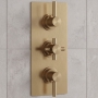 Delphi Axiom Lever Brushed Brass 2-Outlet Triple Concealed Shower Valve