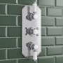 Delphi Belgravia Chrome 2-Outlet Triple Concealed Shower Valve