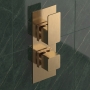 Delphi Edge Brushed Brass 1-Outlet Dual Concealed Shower Valve