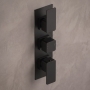 Delphi Edge Matt Black 2-Outlet Triple Concealed Shower Valve