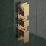 Delphi Edge Brushed Brass 2-Outlet Triple Concealed Shower Valve