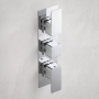 Delphi Edge Chrome 2-Outlet Triple Concealed Shower Valve