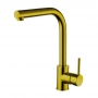 Delphi Dursley Kitchen Sink Mixer Tap Pull-Out Spray - Brushed Gold